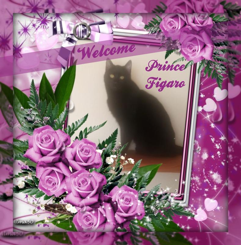 zoza1958 uploaded   53  day/s  ago