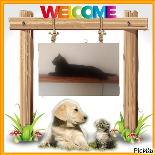 zoza1958 uploaded   57  day/s  ago