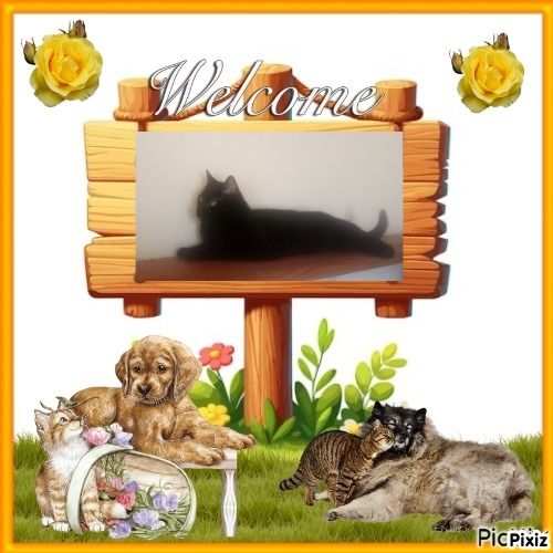 zoza1958 uploaded   57  day/s  ago