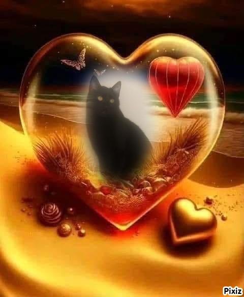 Prince Figaro of the zoza1958 family