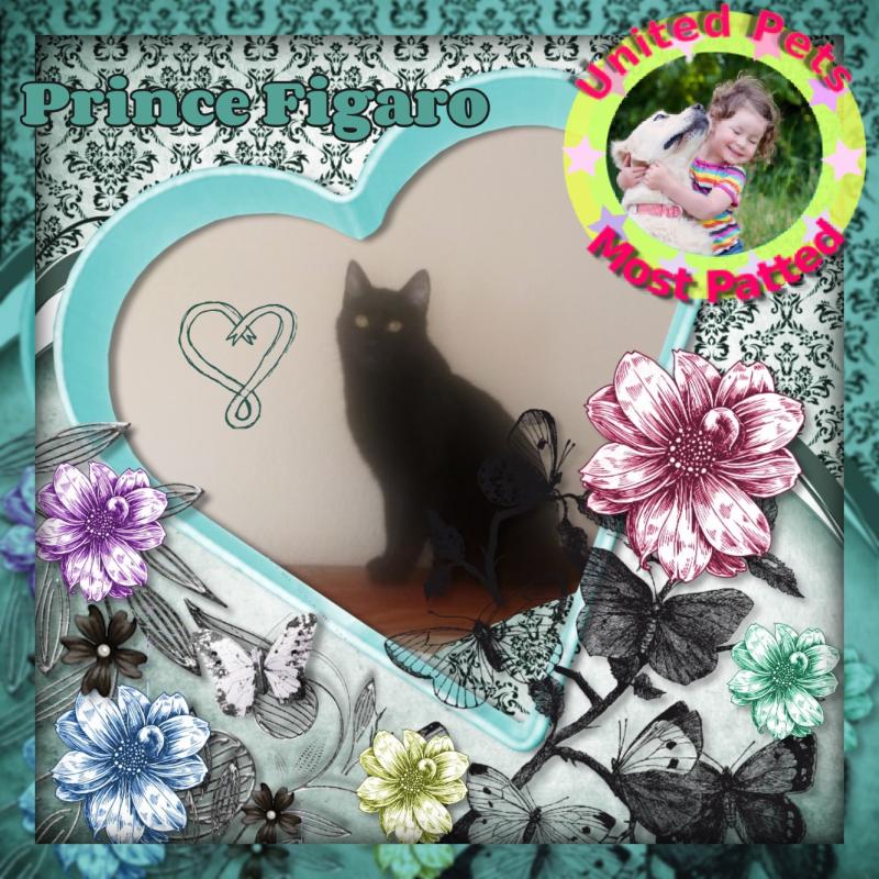 zoza1958 uploaded   31  day/s  ago