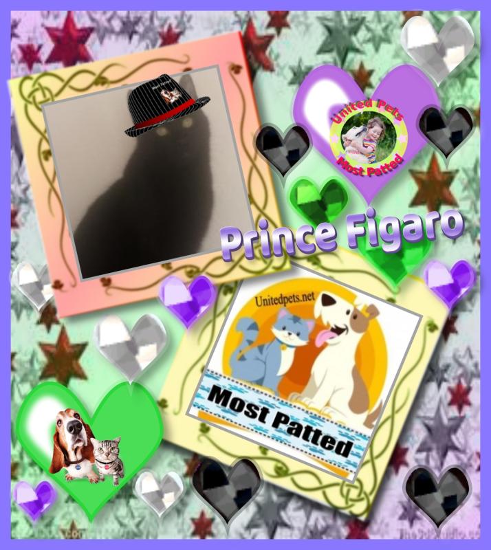 zoza1958 uploaded   51  day/s  ago