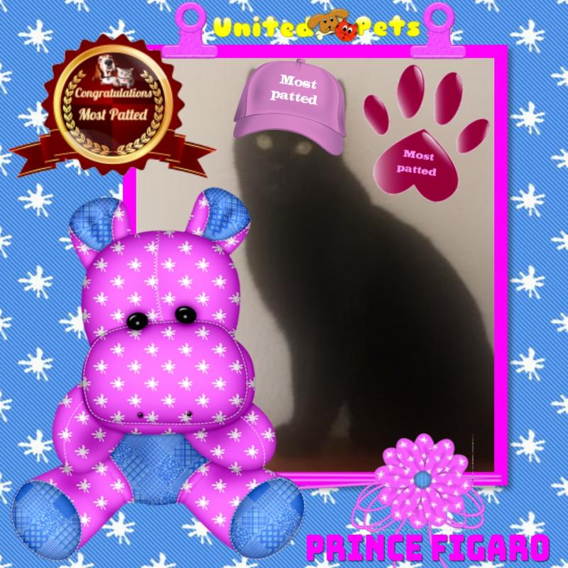 zoza1958 uploaded   49  day/s  ago