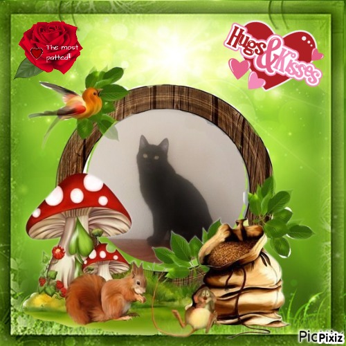 zoza1958 uploaded   48  day/s  ago