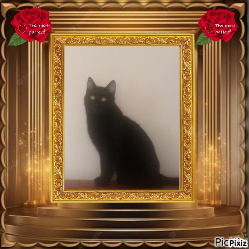 zoza1958 uploaded   48  day/s  ago