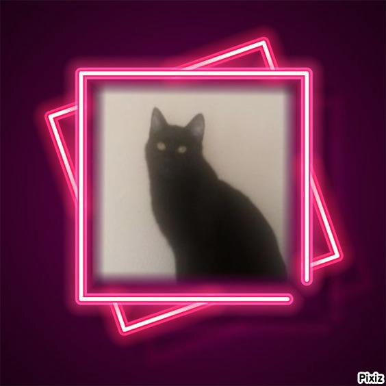 zoza1958 uploaded   48  day/s  ago