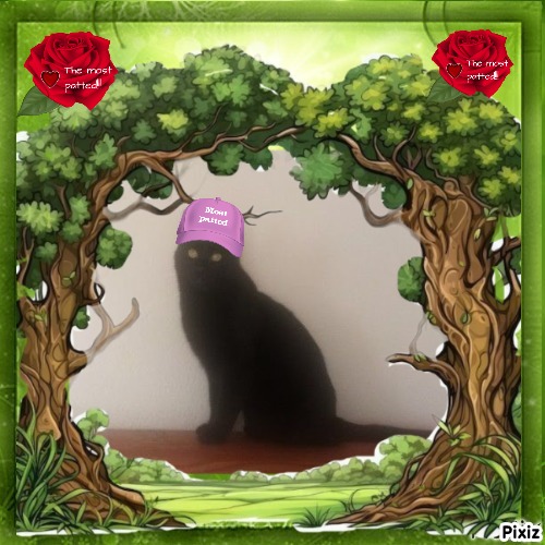 zoza1958 uploaded   48  day/s  ago