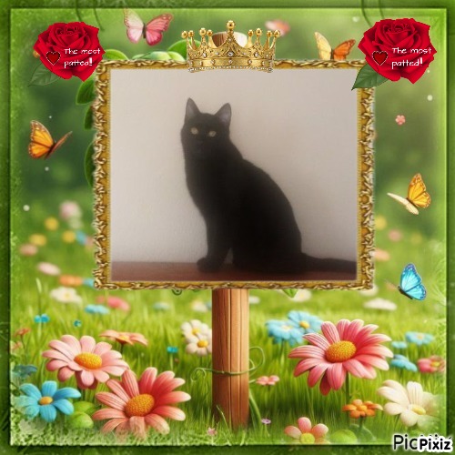 zoza1958 uploaded   48  day/s  ago