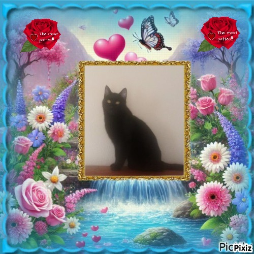 zoza1958 uploaded   47  day/s  ago