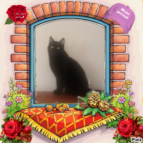 zoza1958 uploaded   46  day/s  ago