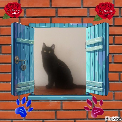 zoza1958 uploaded   46  day/s  ago