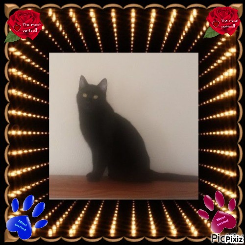 zoza1958 uploaded   52  day/s  ago