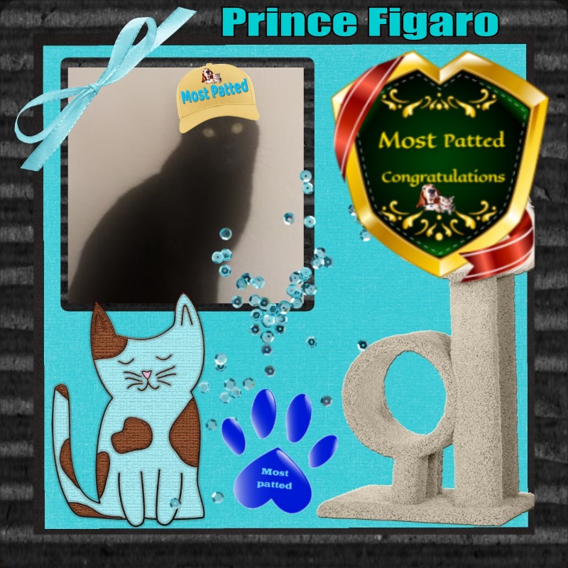 zoza1958 uploaded   47  day/s  ago