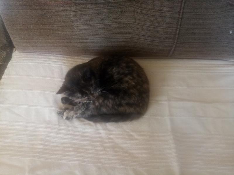 zoza1958 uploaded   43  day/s  ago