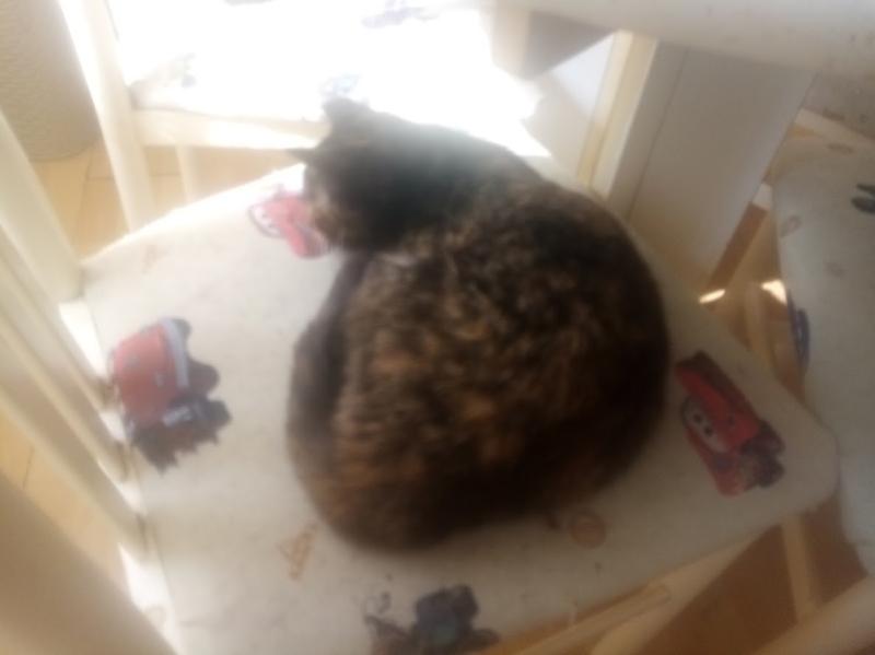 zoza1958 uploaded   43  day/s  ago