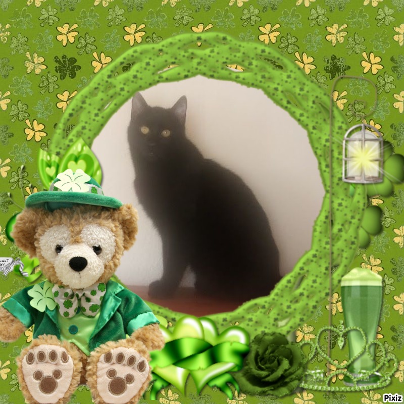 zoza1958 uploaded   31  day/s  ago