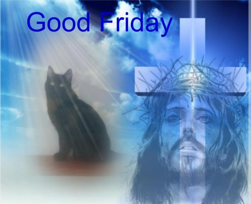 zoza1958 uploaded   8  day/s  ago