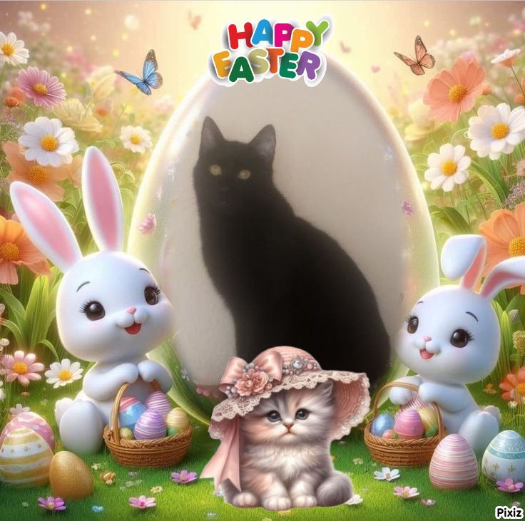 zoza1958 uploaded   6  day/s  ago