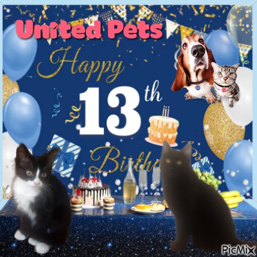 zoza1958 uploaded   6  day/s  ago