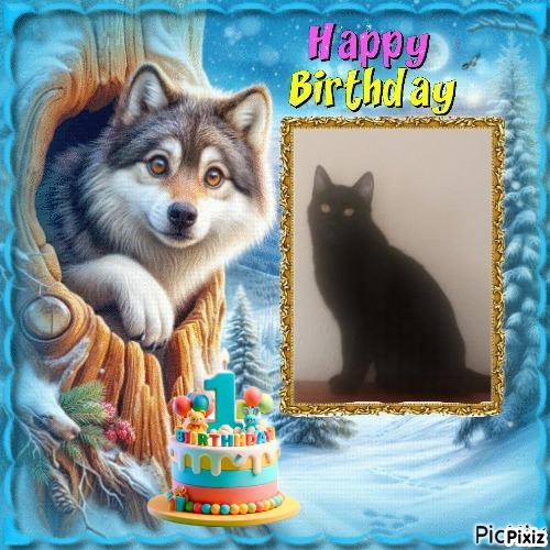 Prince Figaro of the zoza1958 family