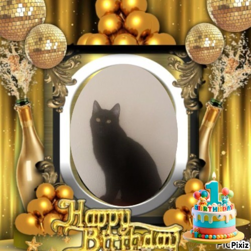 Prince Figaro of the zoza1958 family