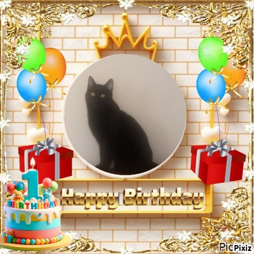 Prince Figaro of the zoza1958 family