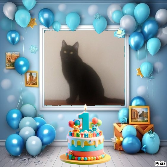 Prince Figaro of the zoza1958 family