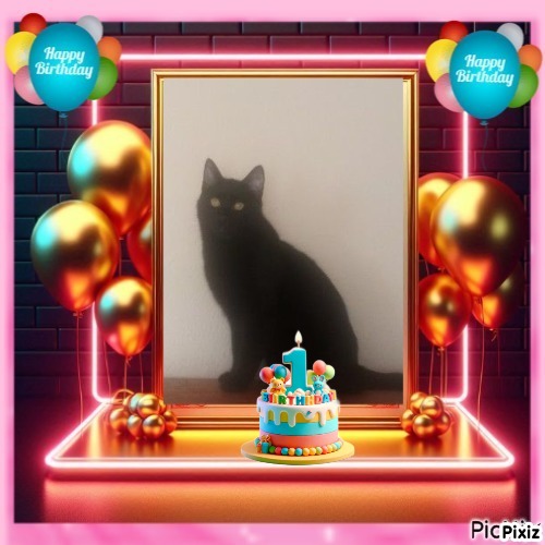 Prince Figaro of the zoza1958 family