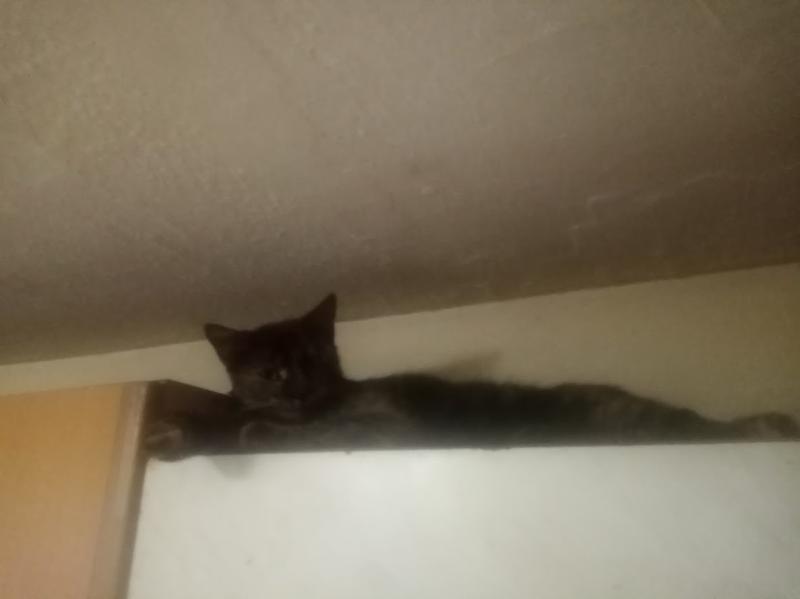 zoza1958 uploaded   16  day/s  ago