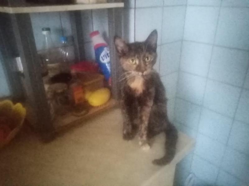 zoza1958 uploaded   3 hour/s ago