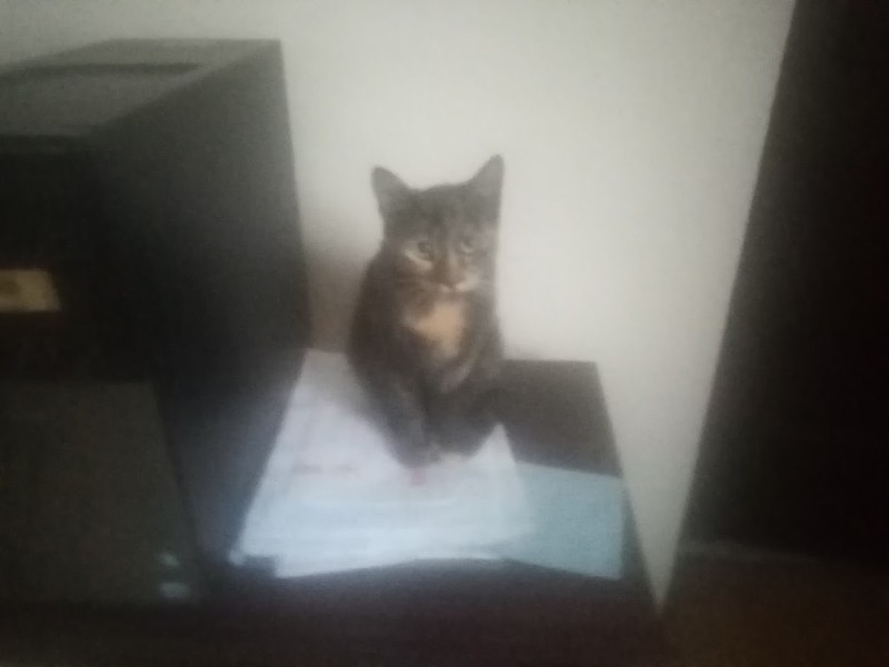 zoza1958 uploaded   12  day/s  ago