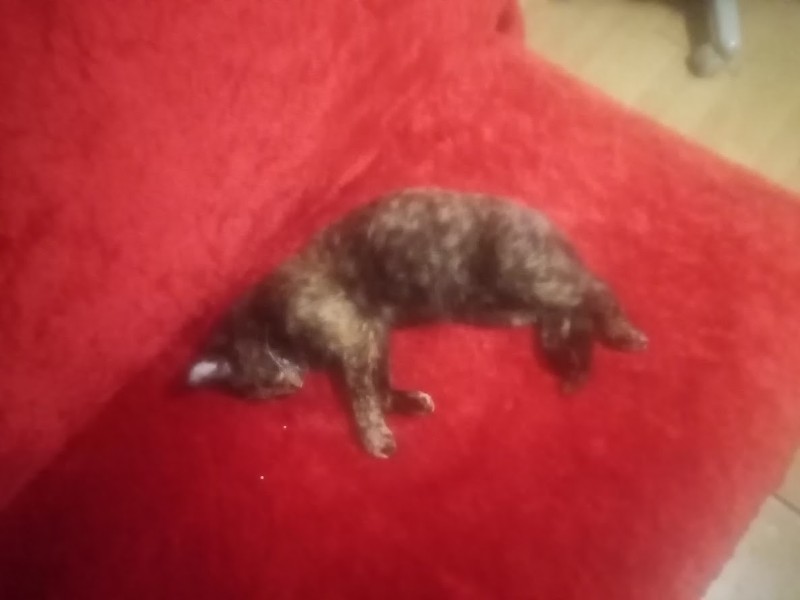 zoza1958 uploaded   16  day/s  ago