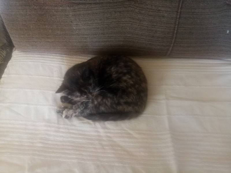 zoza1958 uploaded   16  day/s  ago