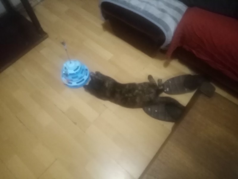 zoza1958 uploaded   16  day/s  ago