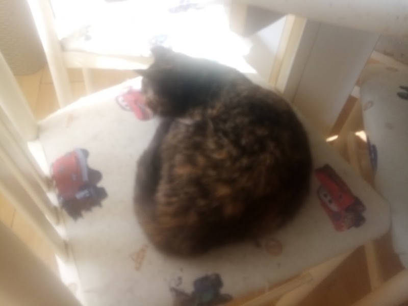 zoza1958 uploaded   16  day/s  ago