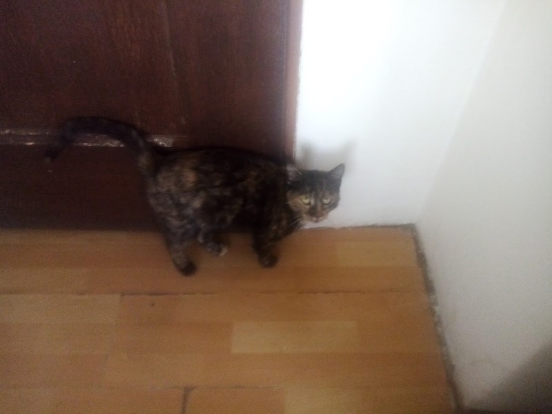 zoza1958 uploaded   16  day/s  ago