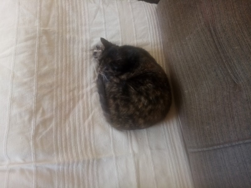 zoza1958 uploaded   16  day/s  ago