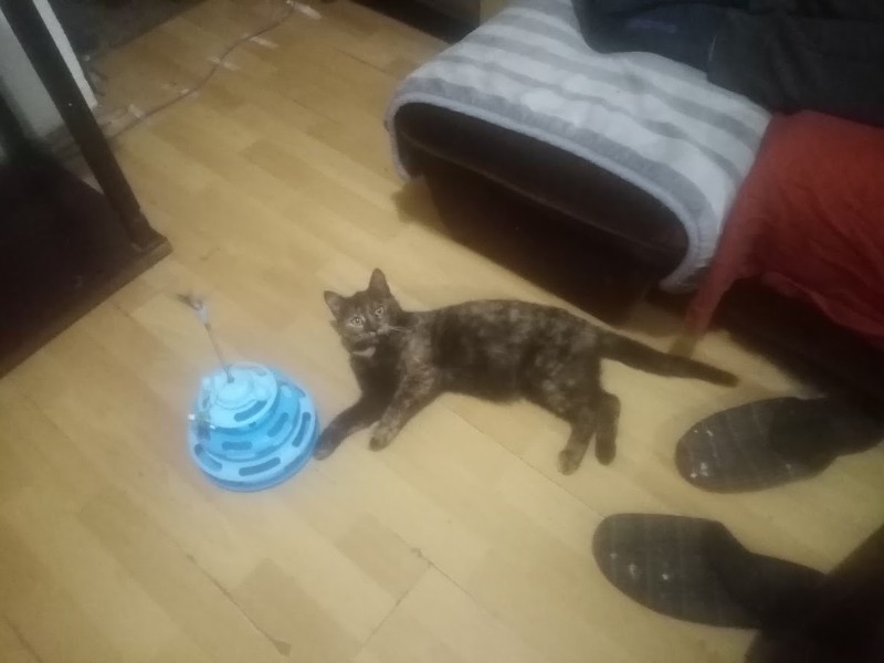 zoza1958 uploaded   16  day/s  ago