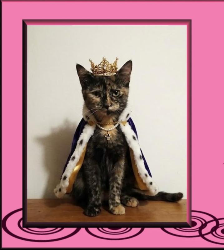 Princess Cicka of the zoza1958 family