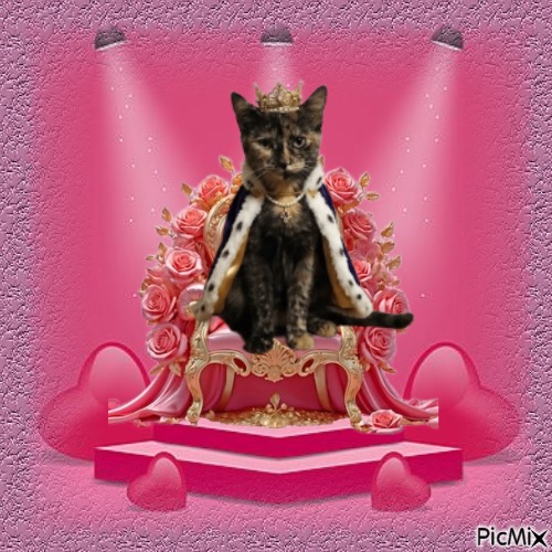 Princess Cicka of the zoza1958 family