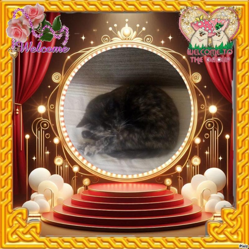 Princess Cicka of the zoza1958 family