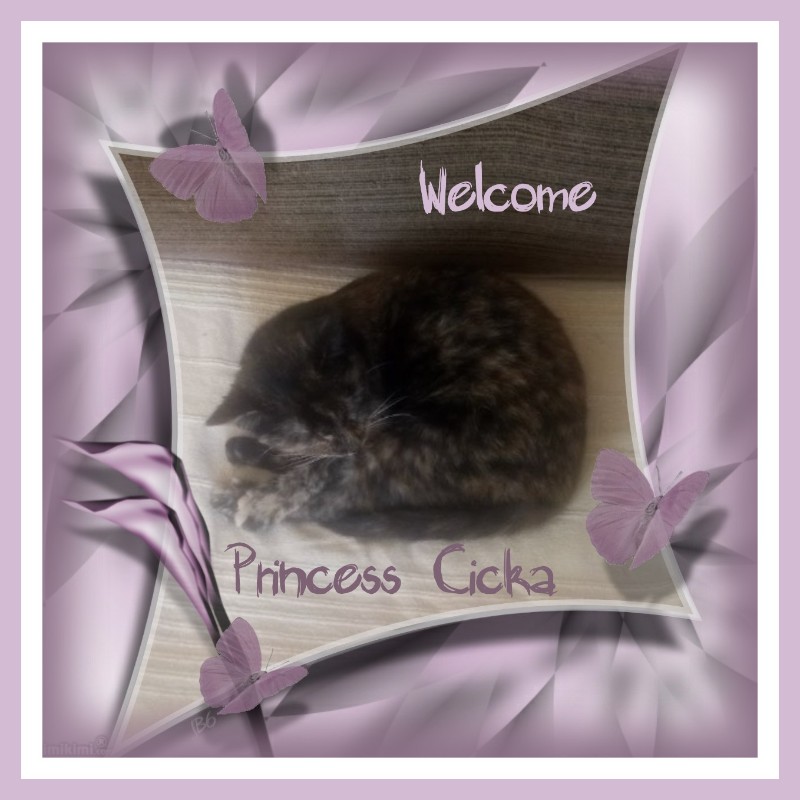 zoza1958 uploaded   15  day/s  ago