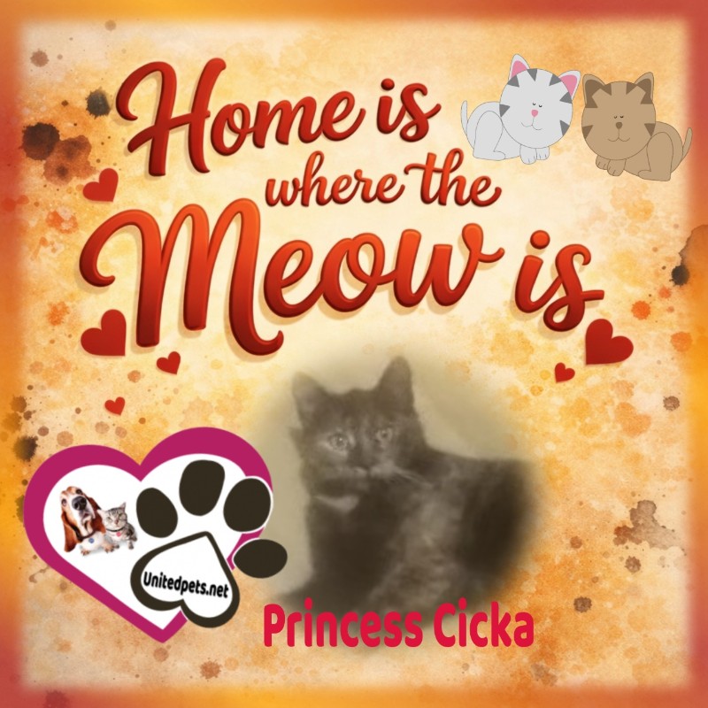 Princess Cicka of the zoza1958 family