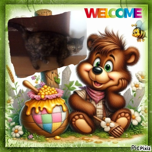 Princess Cicka of the zoza1958 family