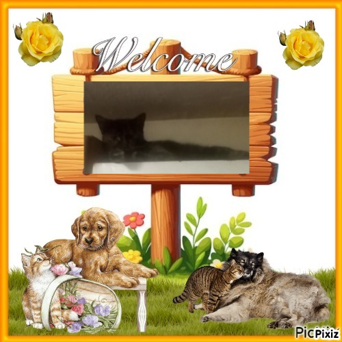 Princess Cicka of the zoza1958 family