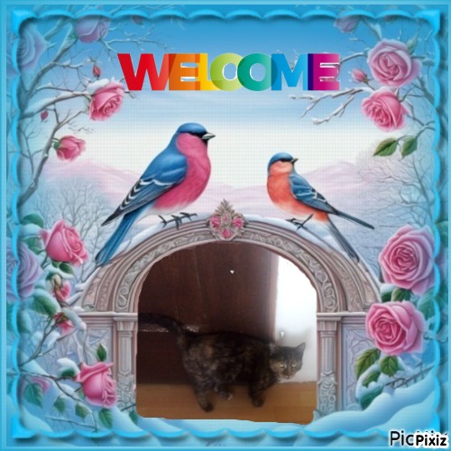 Princess Cicka of the zoza1958 family