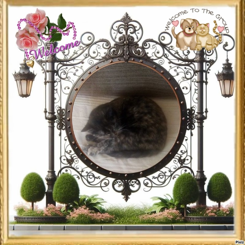 zoza1958 uploaded   15  day/s  ago