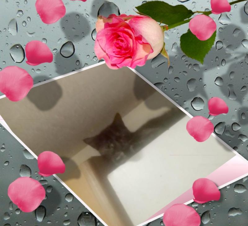 zoza1958 uploaded   15  day/s  ago