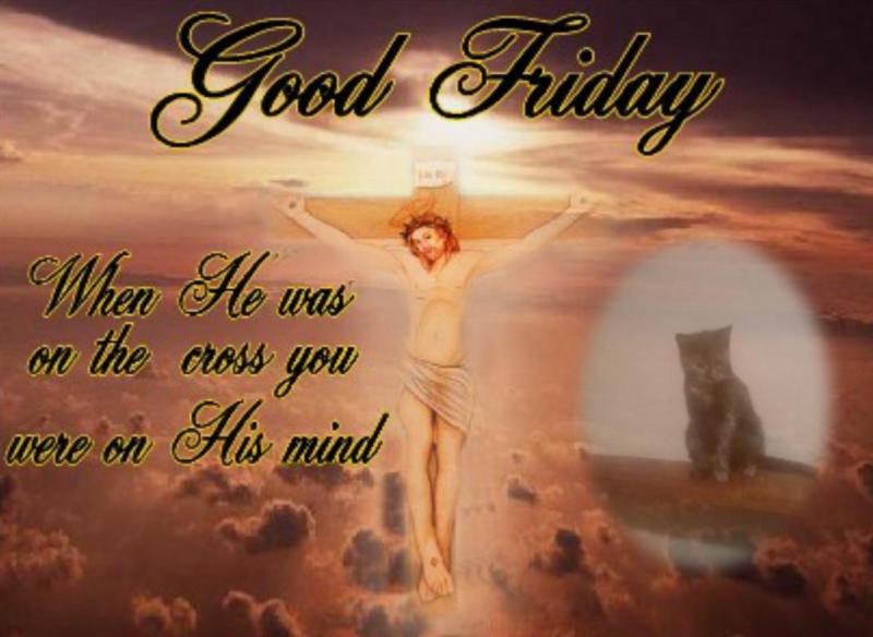 Princess Cicka of the zoza1958 family