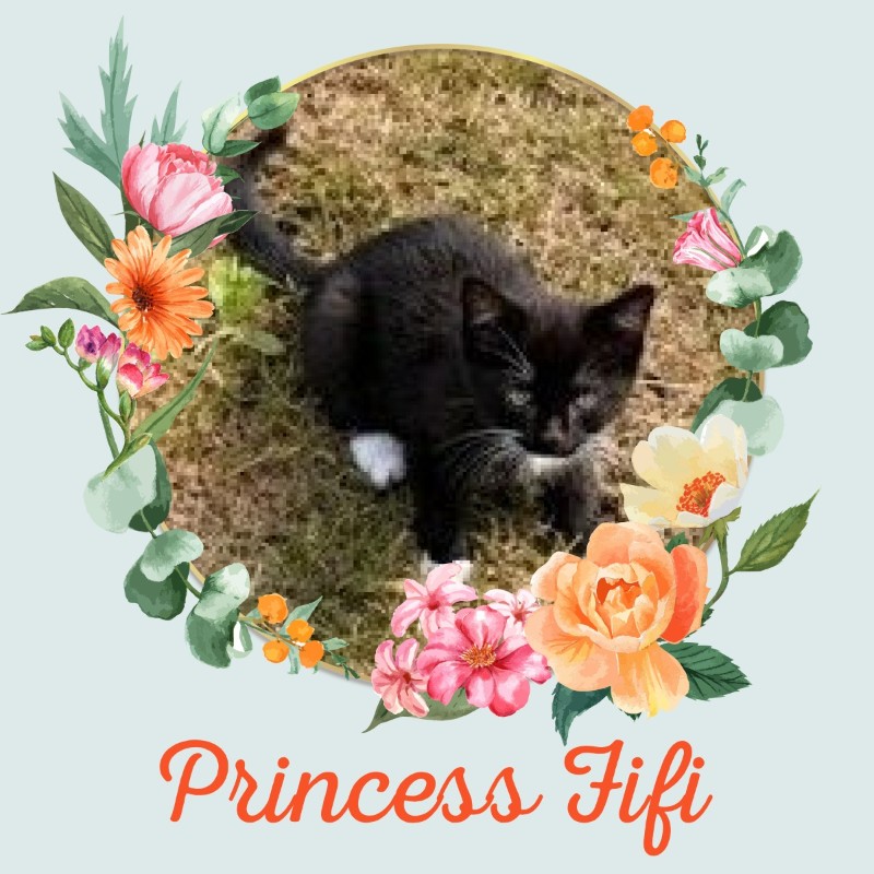 Princess Fifi of the zoza1958 family